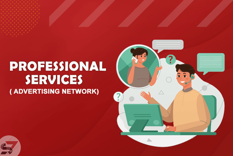 Professional Service